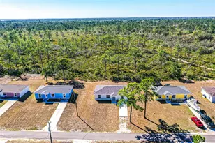 1407 Bittersweet St, Lake Placid, FL 33852 - Photo 19