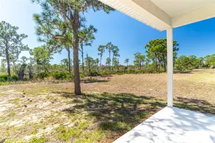 1413 Bittersweet St, Lake Placid, FL 33852 - Photo 9