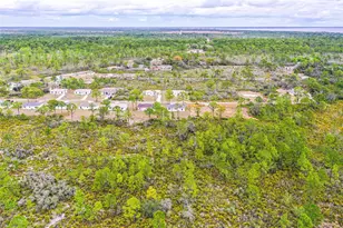 1417 Bittersweet St, Lake Placid, FL 33852 - Photo 19