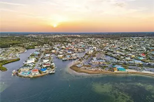 11004 Martha Ave, Port Richey, FL 34668 - Photo 31