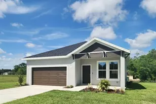 9211 Northcliffe Blvd, Spring Hill, FL 34606 - Photo 1