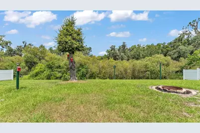 2932 Blackwater Oaks Drive, Mulberry, FL 33860 - Photo 47