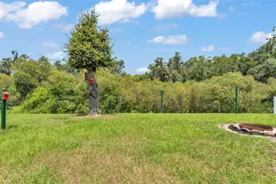 2932 Blackwater Oaks Dr, Mulberry, FL 33860 - Photo 47