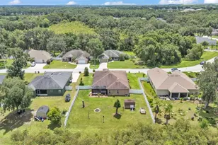 2932 Blackwater Oaks Dr, Mulberry, FL 33860 - Photo 51