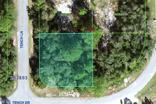 1705 Tench Ln, Kissimmee, FL 34759 - Photo 1