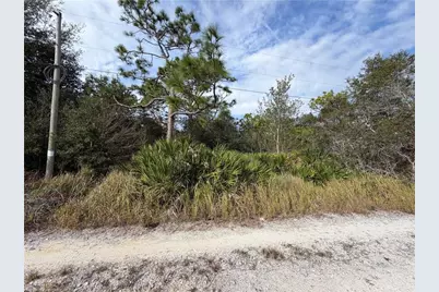 1305 N Roberts Road, Avon Park, FL 33825 - Photo 3