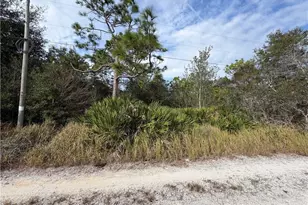 1305 N Roberts Rd, Avon Park, FL 33825 - Photo 3