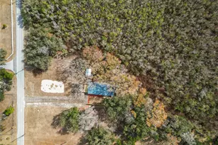 370 Cameron St, Mulberry, FL 33860 - Photo 53