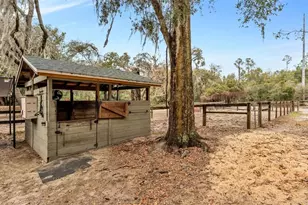 422 E McCormick Rd, Apopka, FL 32703 - Photo 61