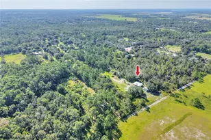 730 McClellan Rd, Frostproof, FL 33843 - Photo 45
