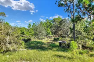 730 McClellan Rd, Frostproof, FL 33843 - Photo 49