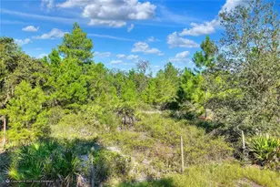 730 McClellan Rd, Frostproof, FL 33843 - Photo 11