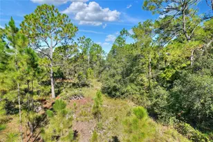 730 McClellan Rd, Frostproof, FL 33843 - Photo 15