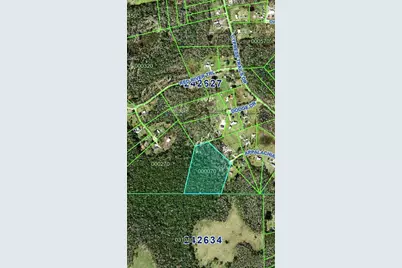 2904 Appalachian Trail, Polk City, FL 33868 - Photo 3