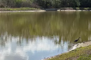 3887 Spruce Creek Dr, Lakeland, FL 33811 - Photo 57