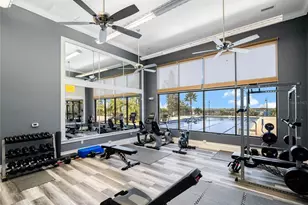 336 Caladium Ave, Lake Alfred, FL 33850 - Photo 85