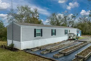 4553 Cedar Hammock St, Lake Wales, FL 33859 - Photo 9