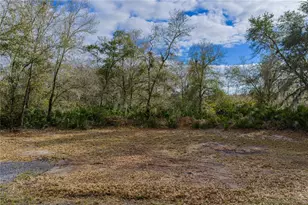 4553 Cedar Hammock St, Lake Wales, FL 33859 - Photo 57