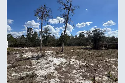 3312 N Horseshoe Drive, Avon Park, FL 33825 - Photo 19