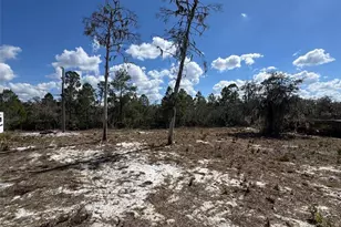 3312 N Horseshoe Dr, Avon Park, FL 33825 - Photo 19