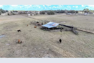 4025 W Bella Vista Street, Lakeland, FL 33810 - Photo 3