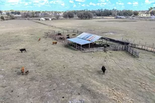 4025 W Bella Vista St, Lakeland, FL 33810 - Photo 3