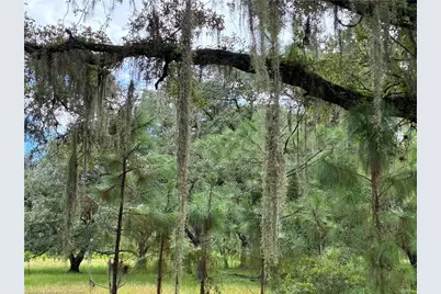 Detjens Dairy Road, Venus, FL 33960 - Photo 11