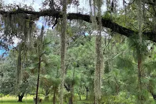 Detjens Dairy Rd, Venus, FL 33960 - Photo 11