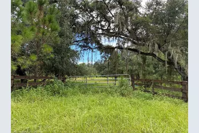 Detjens Dairy Road, Venus, FL 33960 - Photo 9