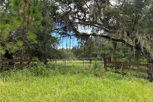 Detjens Dairy Rd, Venus, FL 33960 - Photo 9