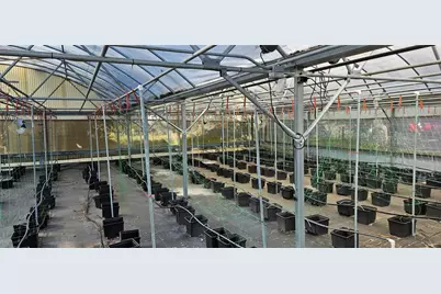 3557 Kokomo Road, Haines City, FL 33844 - Photo 7