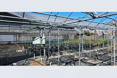 3557 Kokomo Road, Haines City, FL 33844 - Photo 5