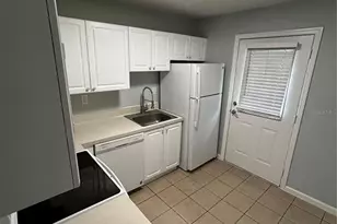 201 Pine Violet Ct, Tampa, FL 33612 - Photo 7