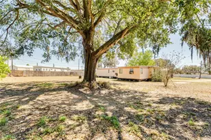 151 Wild Flower Dr, Lake Wales, FL 33859 - Photo 7