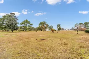 7729 Lake Andrea Cir, Mount Dora, FL 32757 - Photo 33