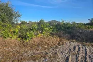 3813 5th St SW, Lehigh Acres, FL 33976 - Photo 23