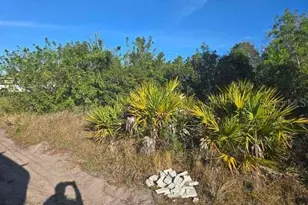 3813 5th St SW, Lehigh Acres, FL 33976 - Photo 11