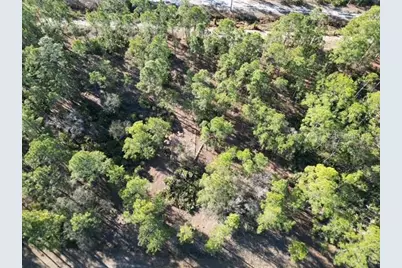 705 Laguna Drive, Indian Lake Estates, FL 33855 - Photo 3