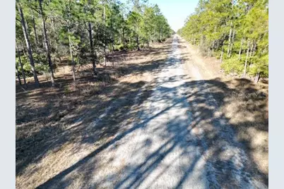 707 Laguna Drive, Indian Lake Estates, FL 33855 - Photo 9