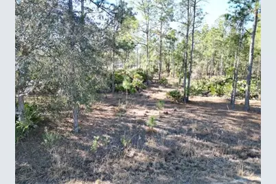 707 Laguna Drive, Indian Lake Estates, FL 33855 - Photo 7