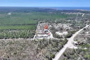 19550 Jody Morgan Road S, Perry, FL 32348 - Photo 19