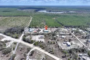 19550 Jody Morgan Road S, Perry, FL 32348 - Photo 21