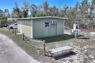 19550 Jody Morgan Road S, Perry, FL 32348 - Photo 9