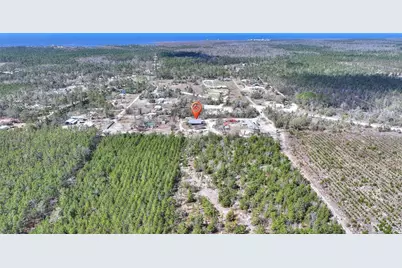 19550 Jody Morgan Road S, Perry, FL 32348 - Photo 25