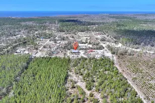 19550 Jody Morgan Road S, Perry, FL 32348 - Photo 25