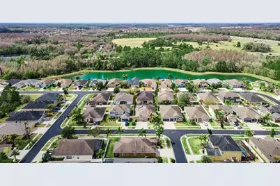 31518 Bearded Oak Drive, Wesley Chapel, FL 33543 - Photo 53