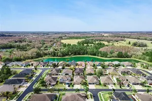 31518 Bearded Oak Dr, Wesley Chapel, FL 33543 - Photo 53