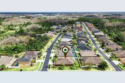 31518 Bearded Oak Drive, Wesley Chapel, FL 33543 - Photo 55