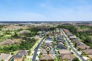 31518 Bearded Oak Dr, Wesley Chapel, FL 33543 - Photo 55