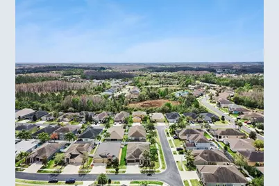 31518 Bearded Oak Drive, Wesley Chapel, FL 33543 - Photo 51